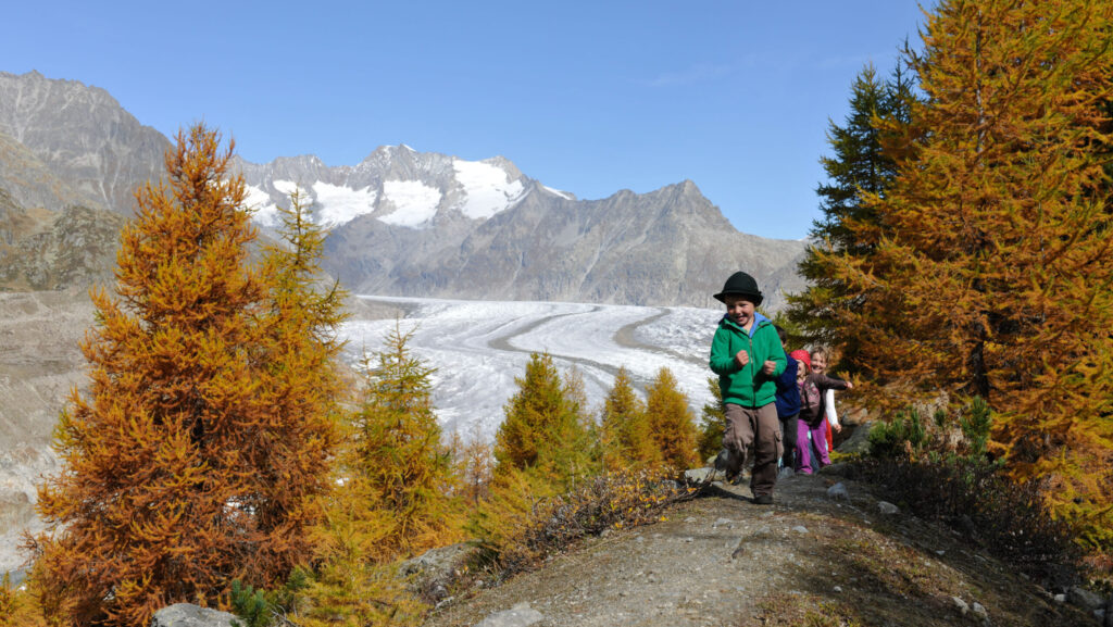 Ein Herbstspaziergang mit Foxtrail 2 herbst wanderung familie sommer aletsch arena scaled e1696854376605