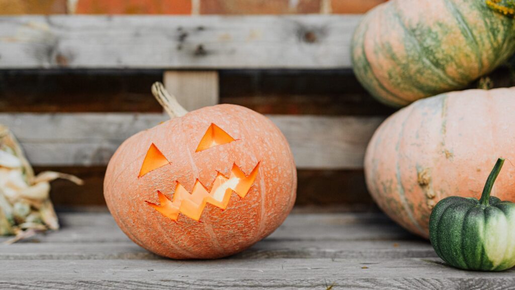 pexels karolina grabowska 5422679 scaled e1698739959928