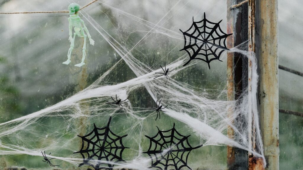 pexels karolina grabowska 5422855 scaled e1698739341764