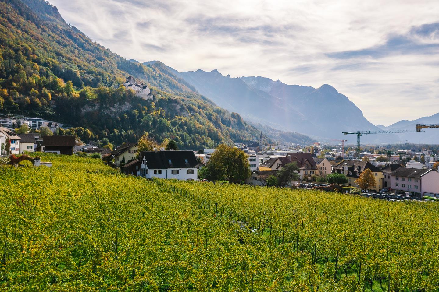 2021 10 20 Naturnahe Weinwirtschaft Wimmeln Hofkellerei 0225 Copy