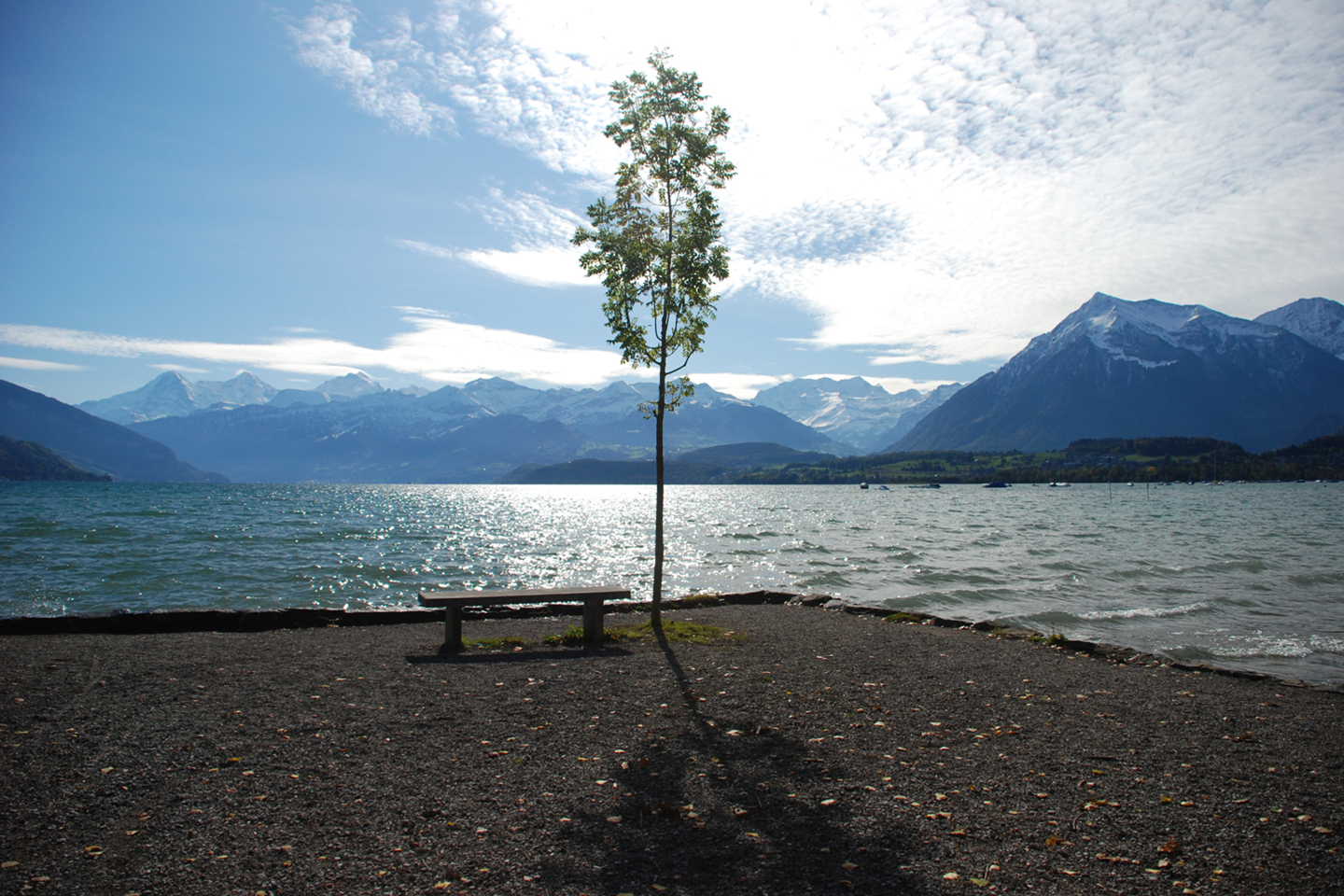 Foxtrail Cityfox Thun Bern Thunersee