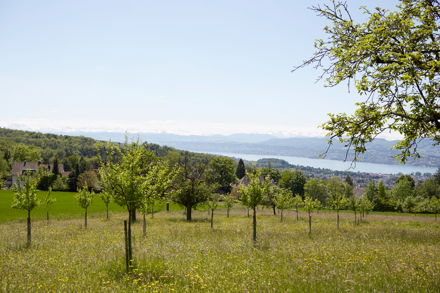 Aussicht vom Zoo aus auf Zuerich, 19. Mai 2014. Photo by Elisabeth Real Foxtrail Ikarus Zrich Header