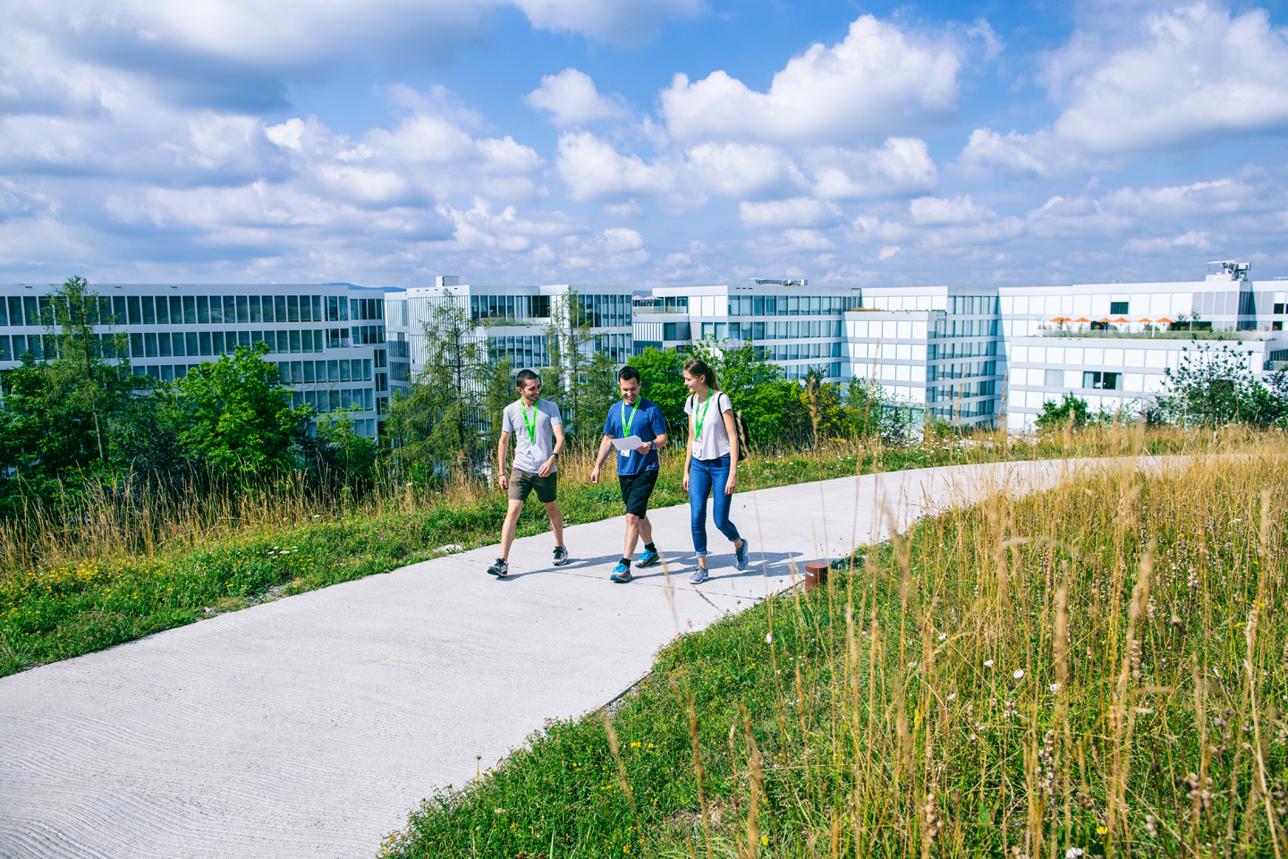 Foxtrail Picasso Kloten Zrich Header 3