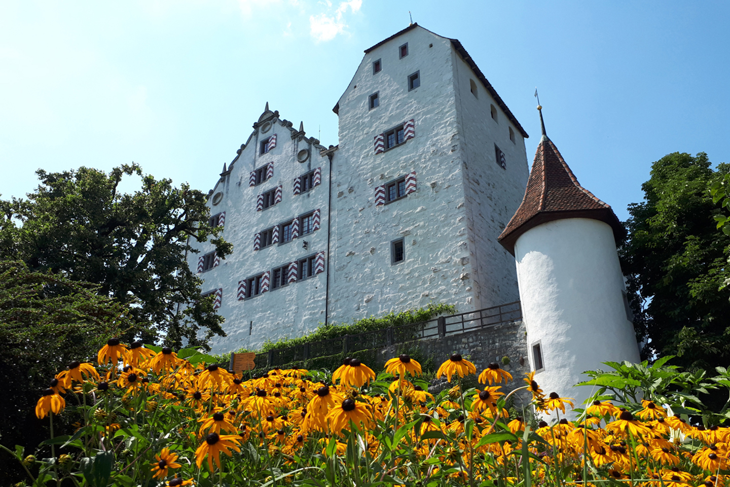 Foxtrail Schloss Wildegg