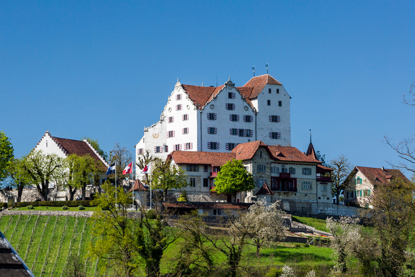 Foxtrail Schloss Wildegg Header