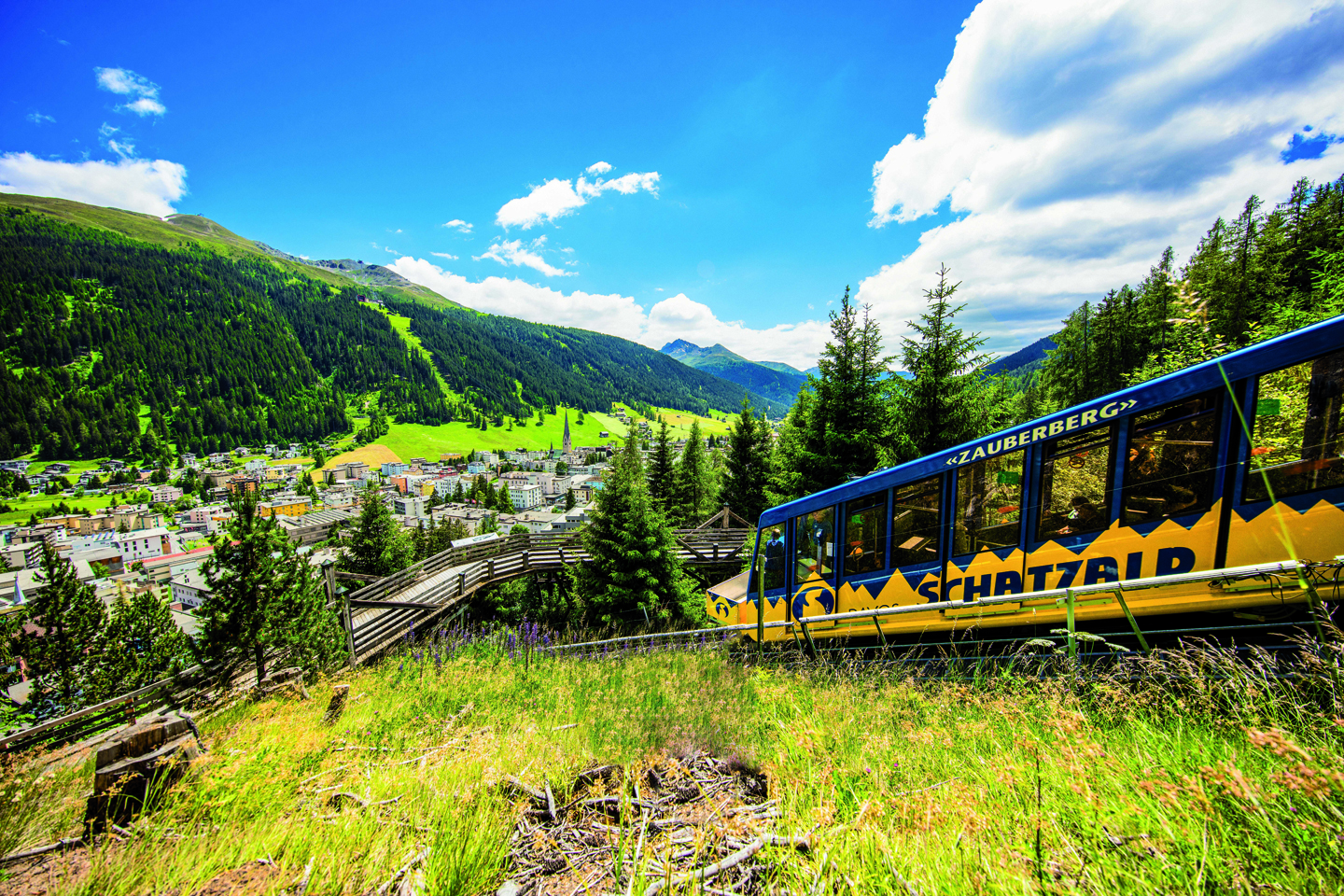 Foxtrail Cuolm Striunau