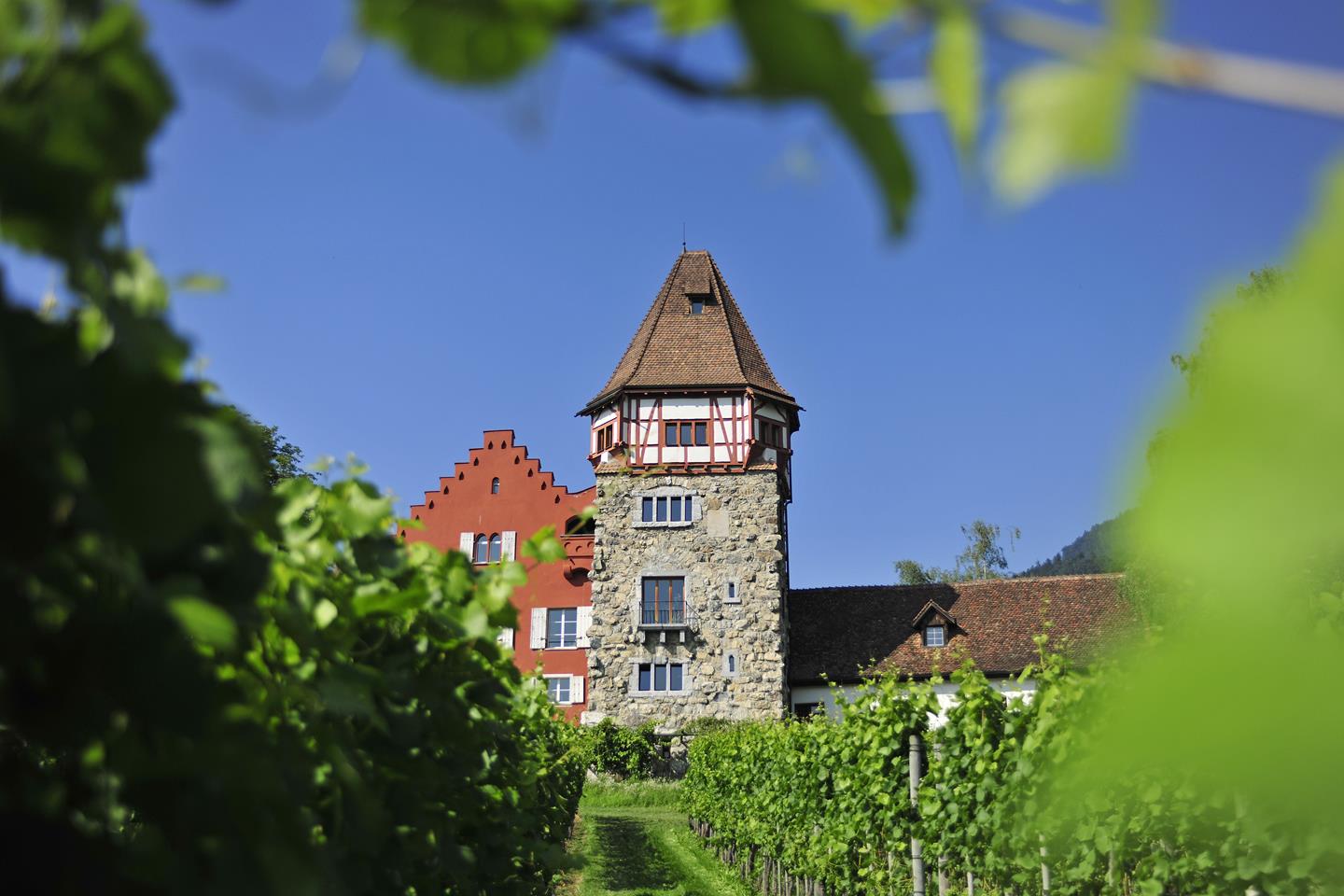 Rotes Haus 1377 Copy