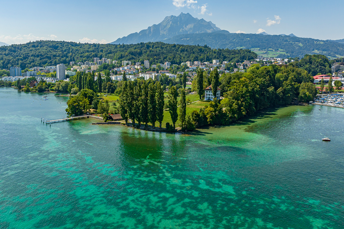 Apollon-Titelbild Apollon Titelbild