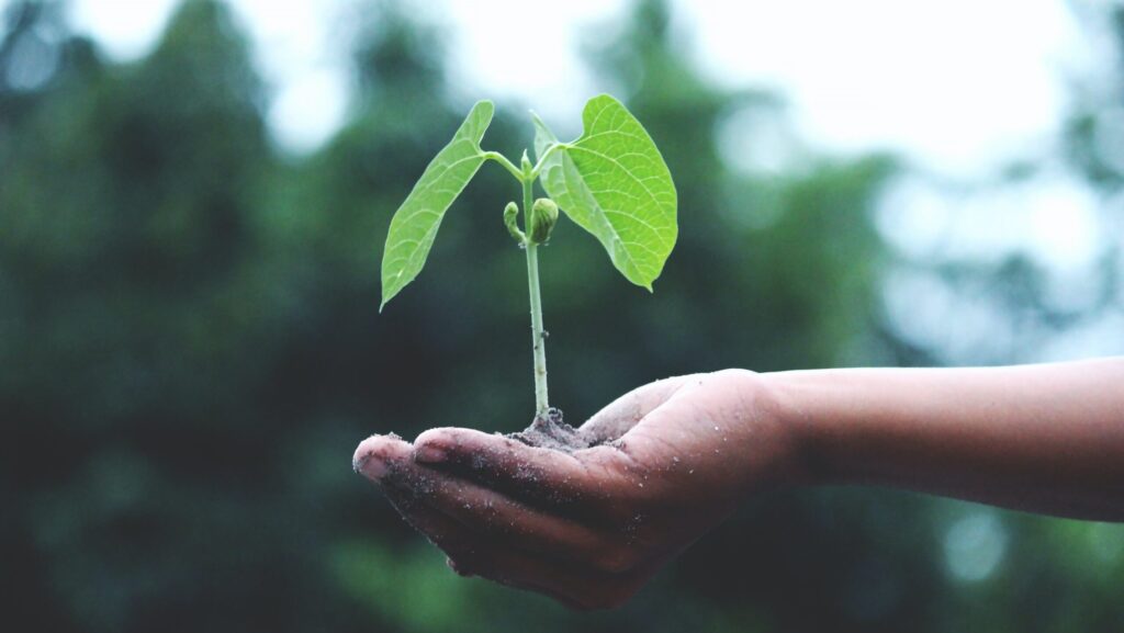 Foxtrail 2023 - Rückblick! 7 pexels akil mazumder 1072824 1 scaled e1702547810834