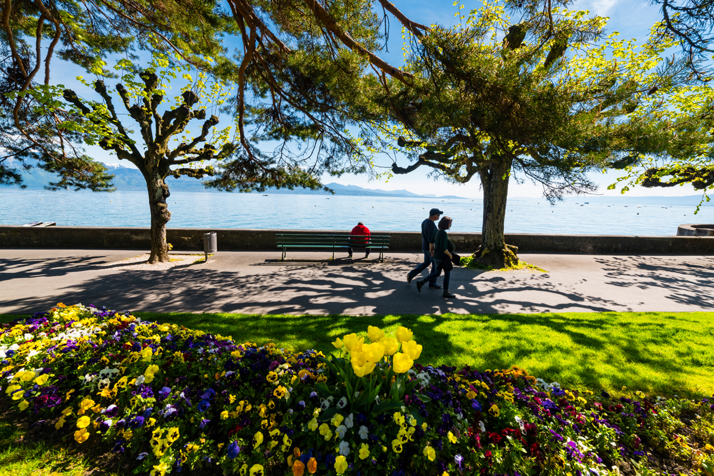 Foxtrail Citi Lausanne QUAIS OUCHY 24