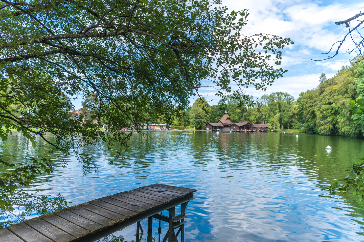 Foxtrail Gallus Stadt St Gallen Ostschweiz Drei Weieren Aussicht Schnitzeljagd 9