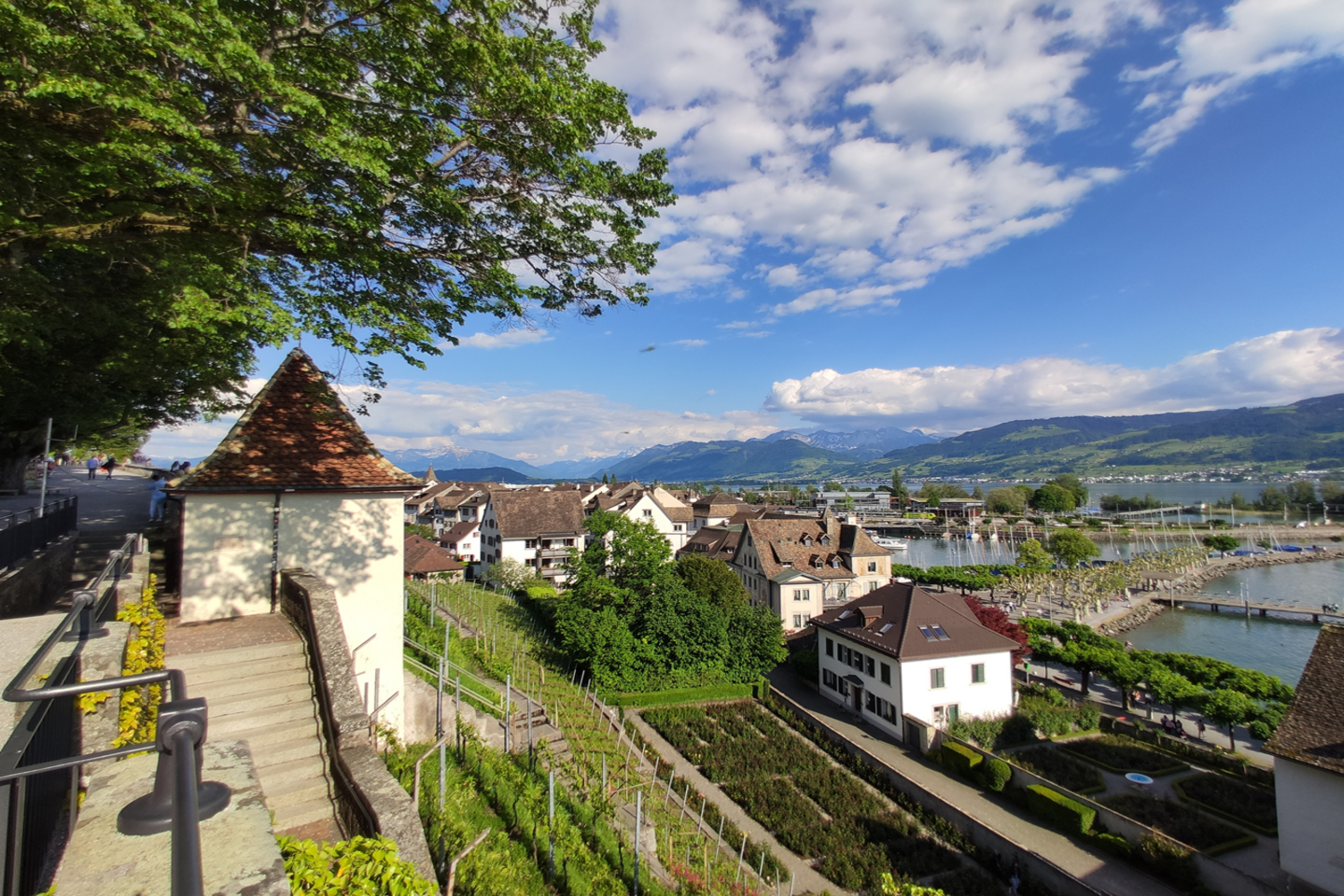 iStock 1155515934 Copy