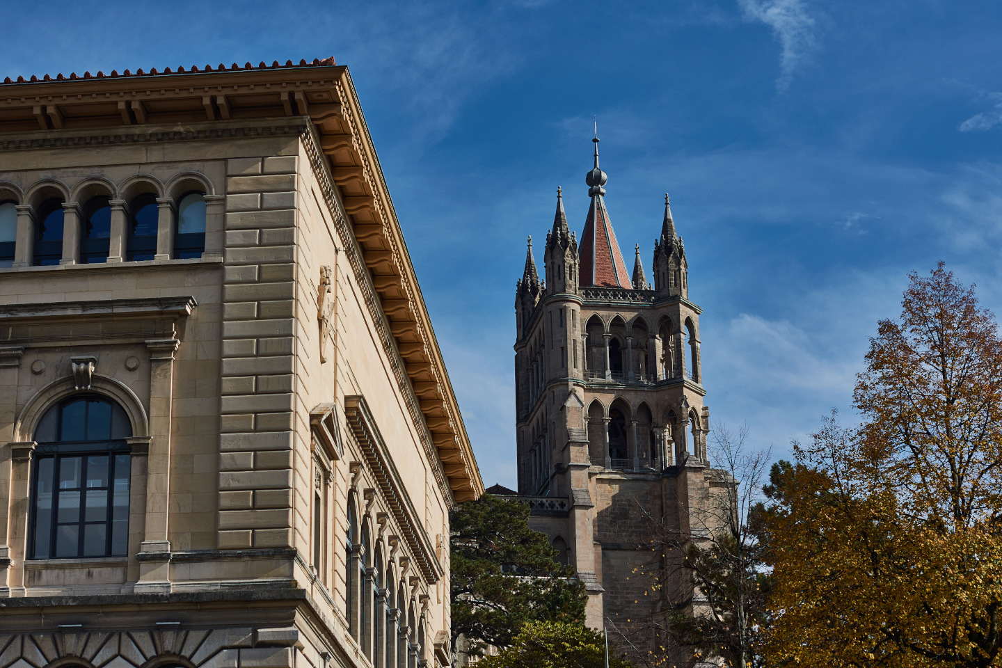 iStock 1188395730 49