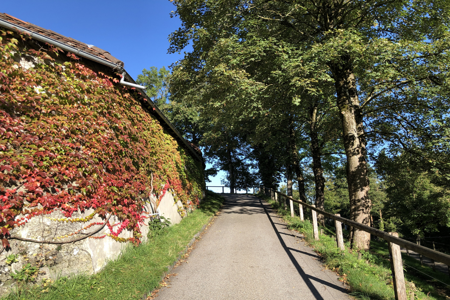 iStock 1251100941 Copy 9