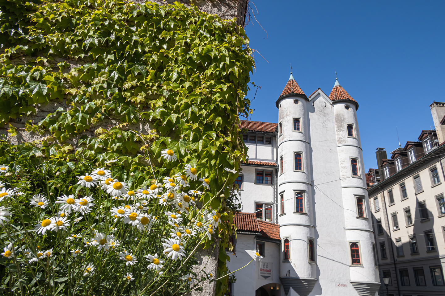 iStock-1284725513-Copy-6 iStock 1284725513 Copy 6