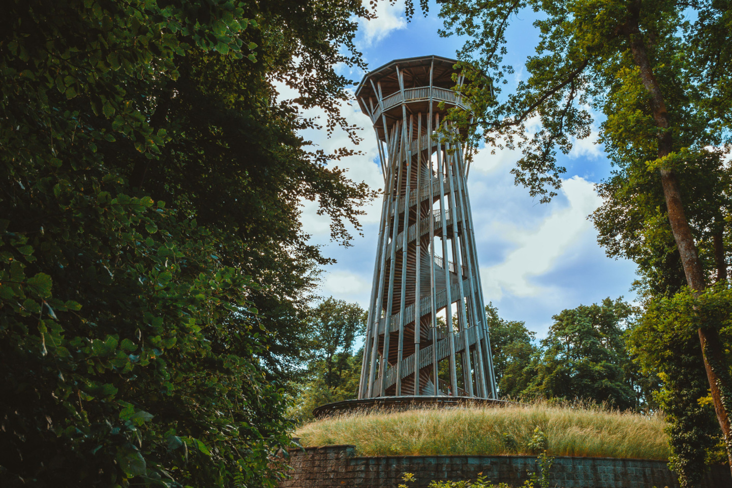 iStock 1438561667 48