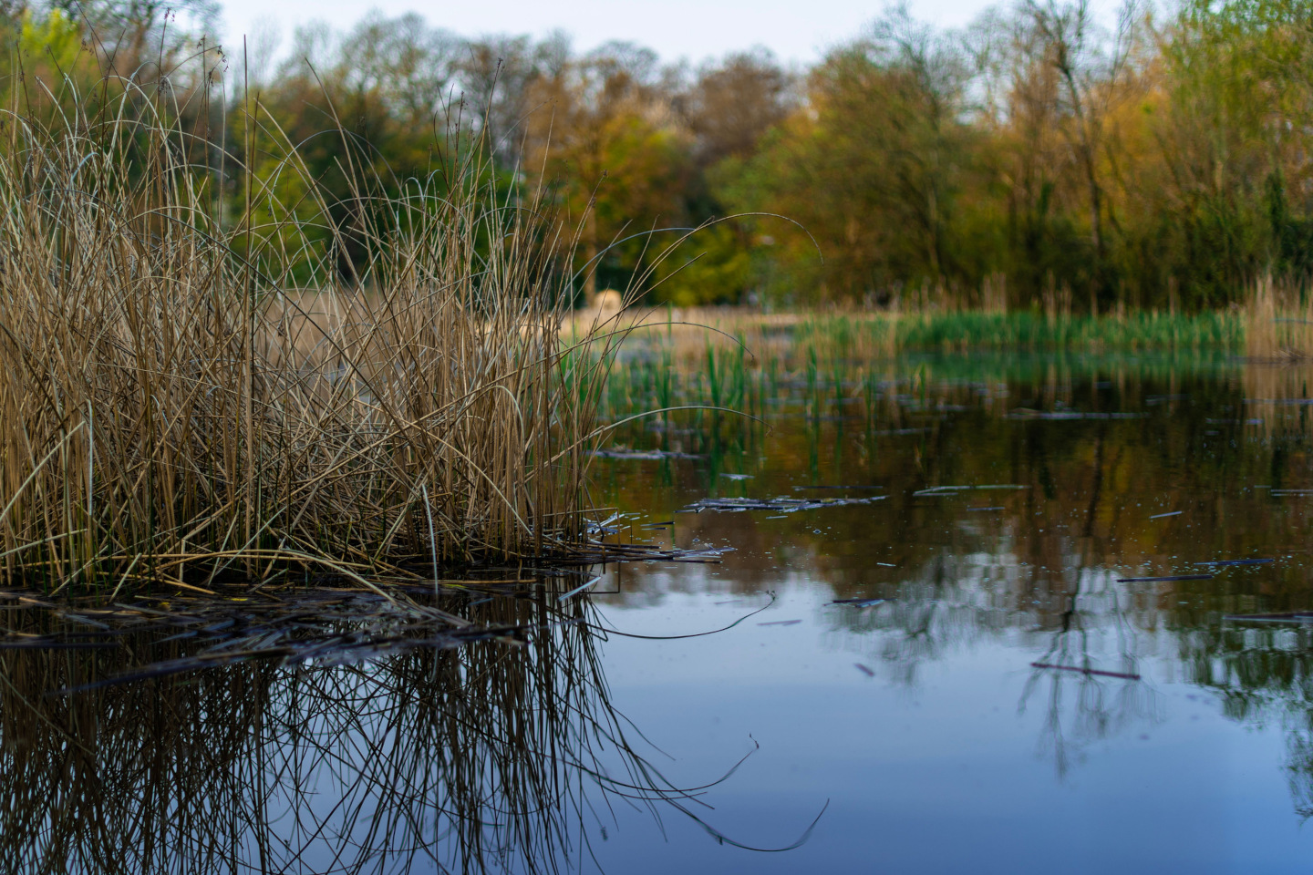 iStock 1443454493 48