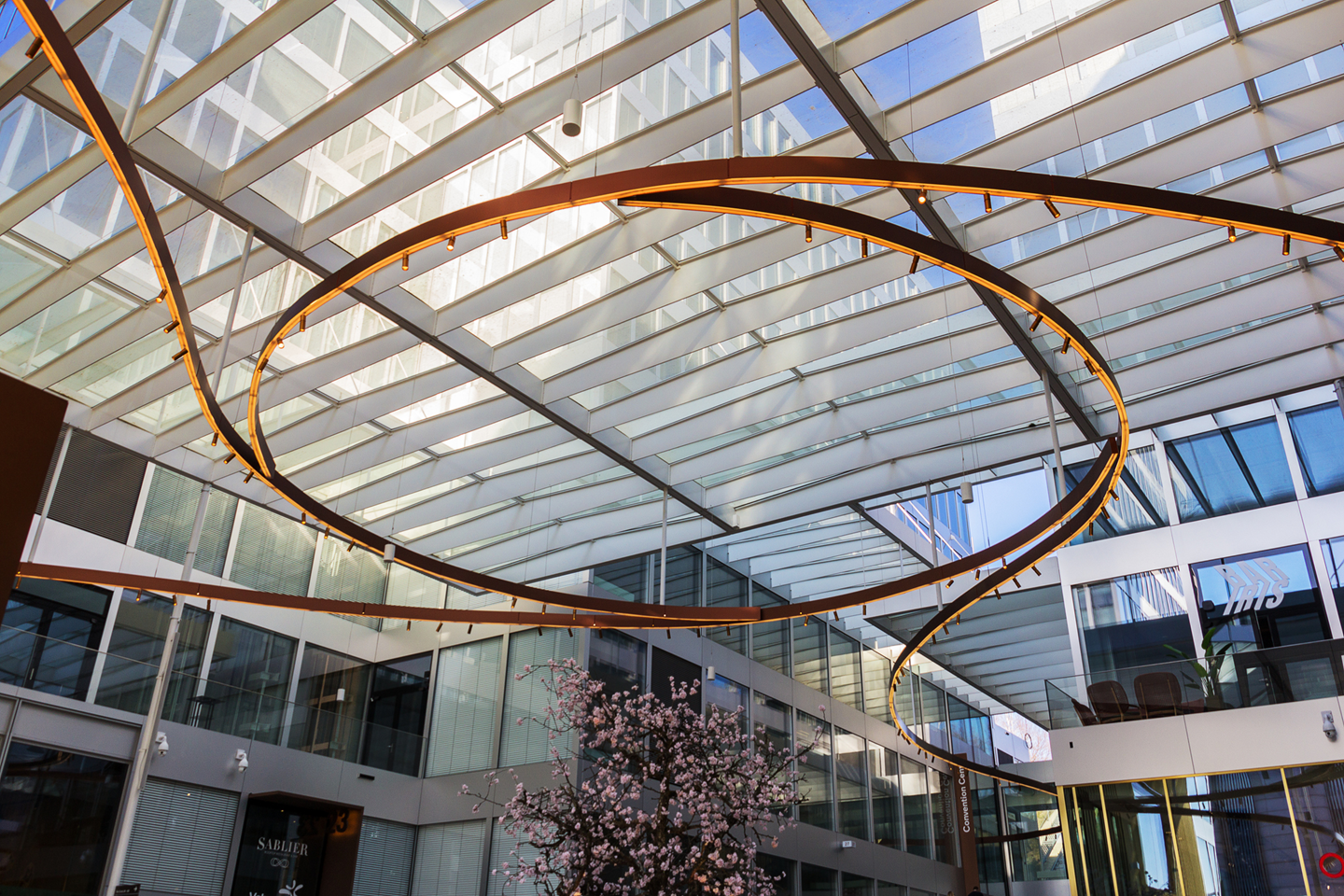 iStock 1478016806 Copy 1