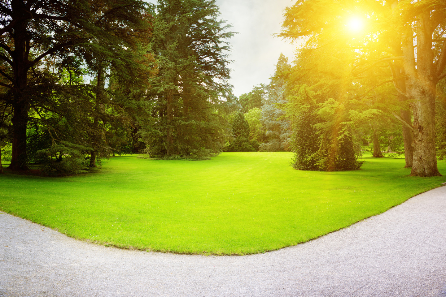 Sunrise in the park iStock 884816082