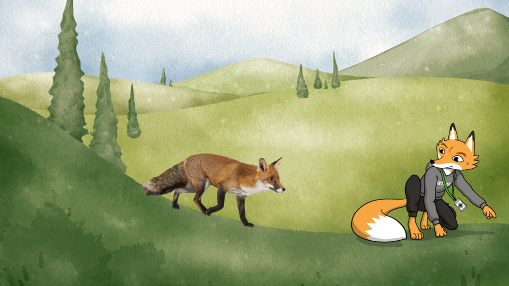 The True Story Fractured Fairy Tale 12