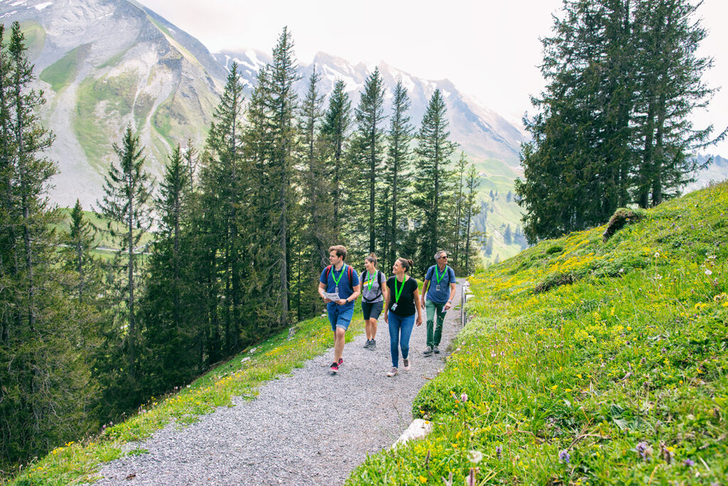 Foxtrail Artemis Klewenalp Luzern Freunde