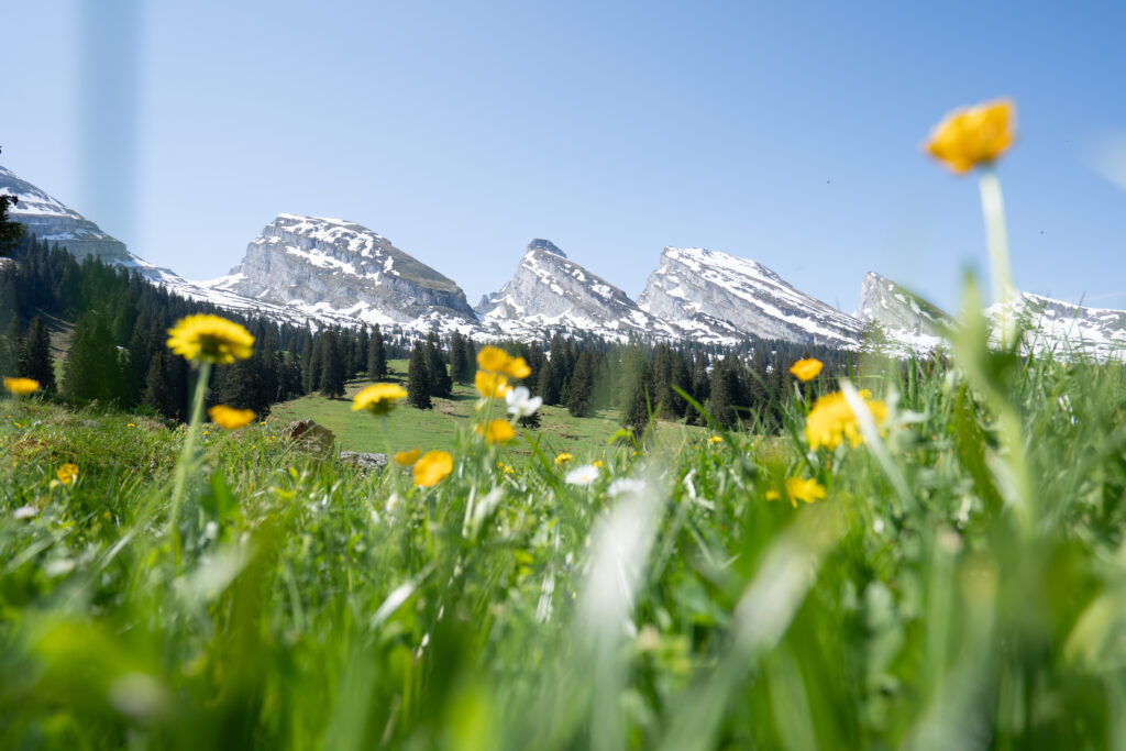 Foxtrail Funi Wildhaus Ostschweiz Header