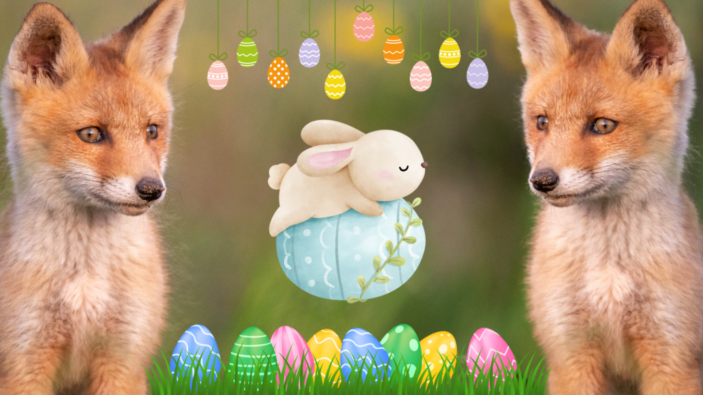 Fredy Fox on an Easter egg hunt 4 The True Story Fractured Fairy Tale 2024 03 18T151144.732 1