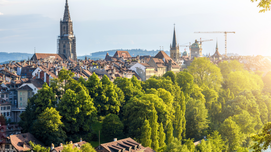 The True Story Fractured Fairy Tale 33