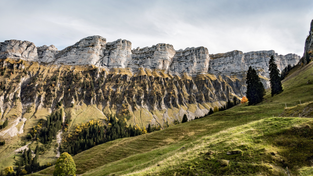 The True Story Fractured Fairy Tale 38 1