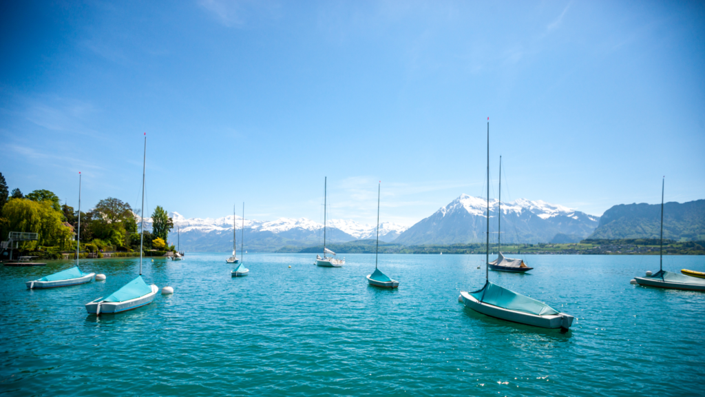 The True Story Fractured Fairy Tale 47