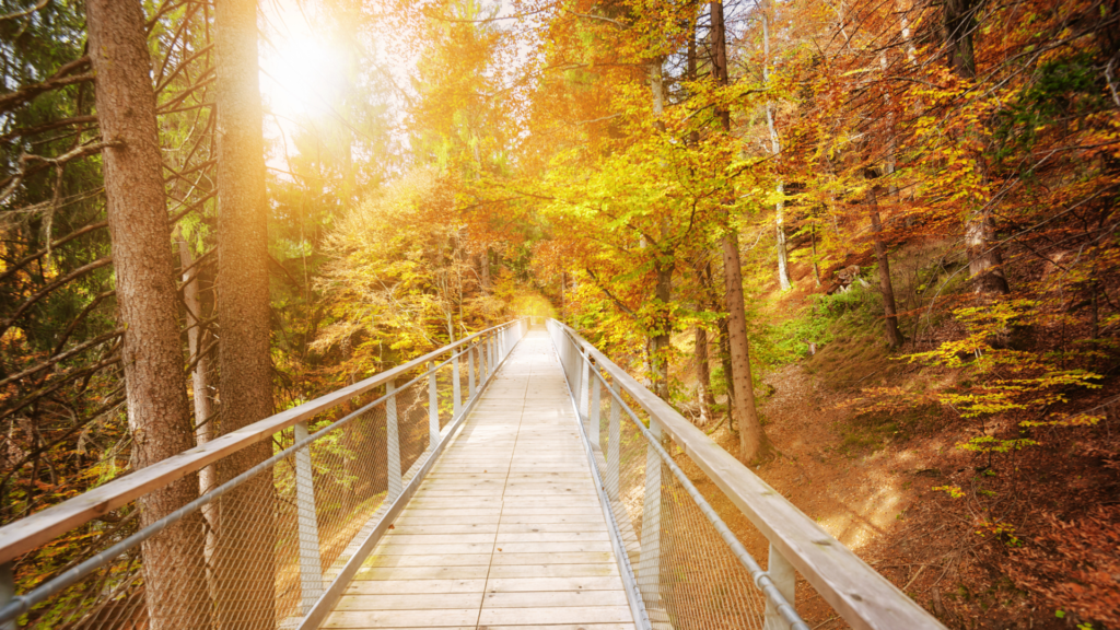 Untitled 2024 03 18T121932.505 1