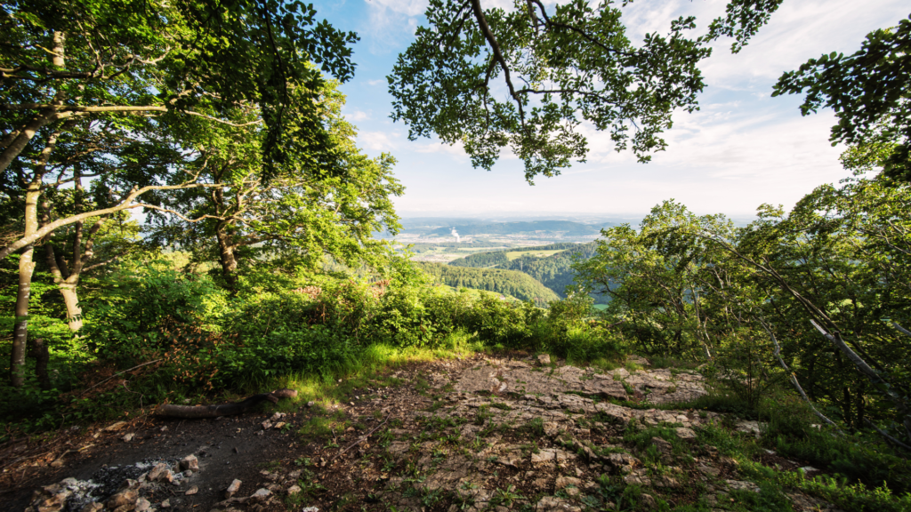 Untitled 2024 03 18T123125.974 1