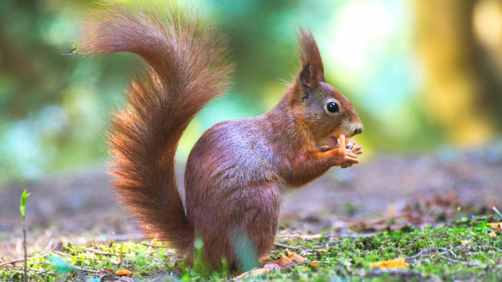 Untitled 2024 03 18T123233.820 1