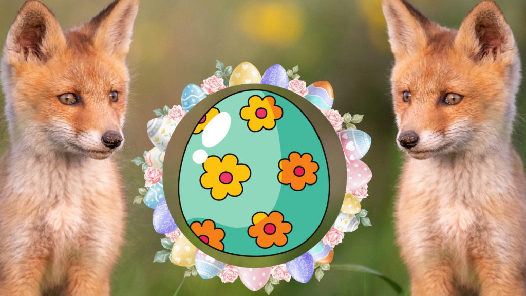 Fredy Fox on an Easter egg hunt 5 Untitled 2024 03 21T111601.758