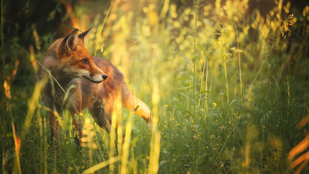 Untitled 2024 03 25T091848.427