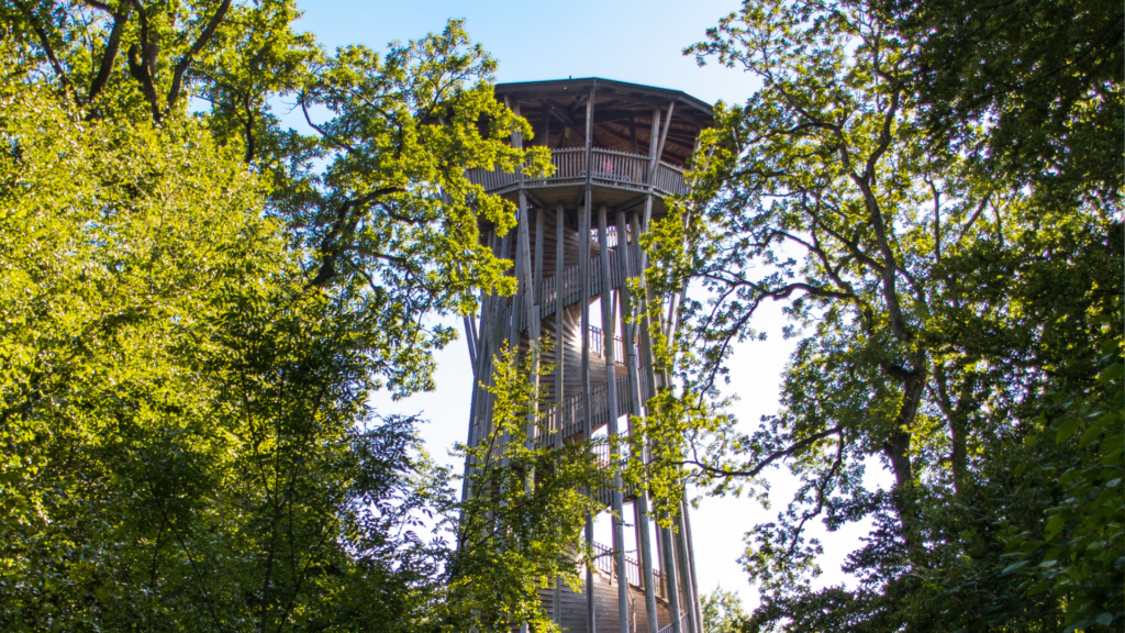 Untitled 2024 03 25T091951.739