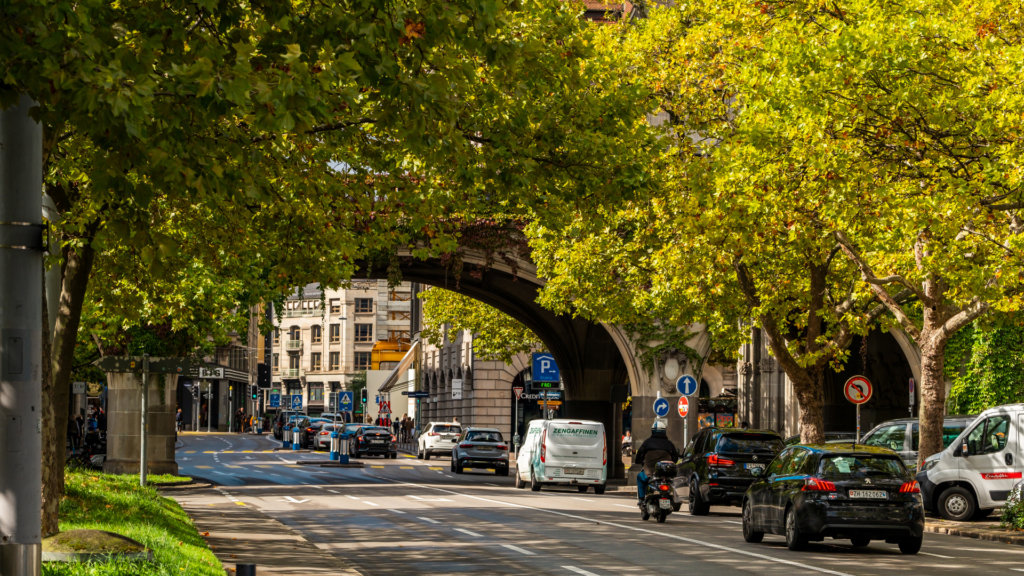 Nos pistes en forêt - partie 2 6 Untitled 2024 03 25T092104.057