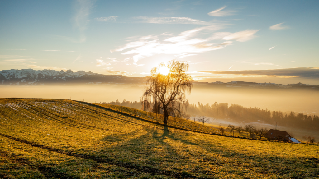 Untitled 2024 03 25T093237.255