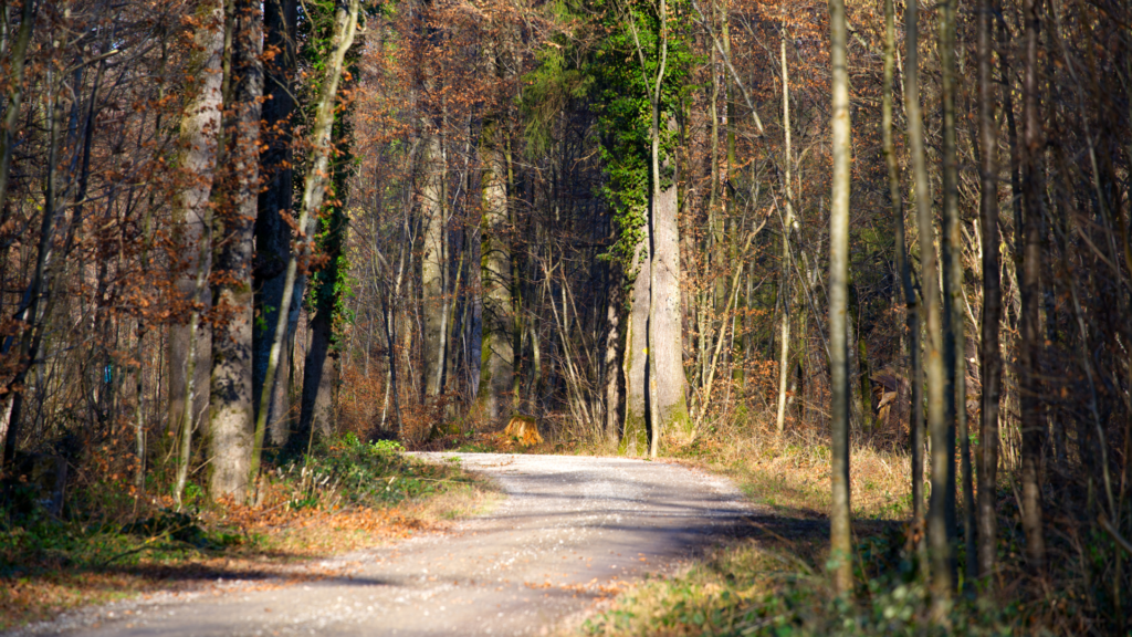 Untitled 2024 03 25T093920.419