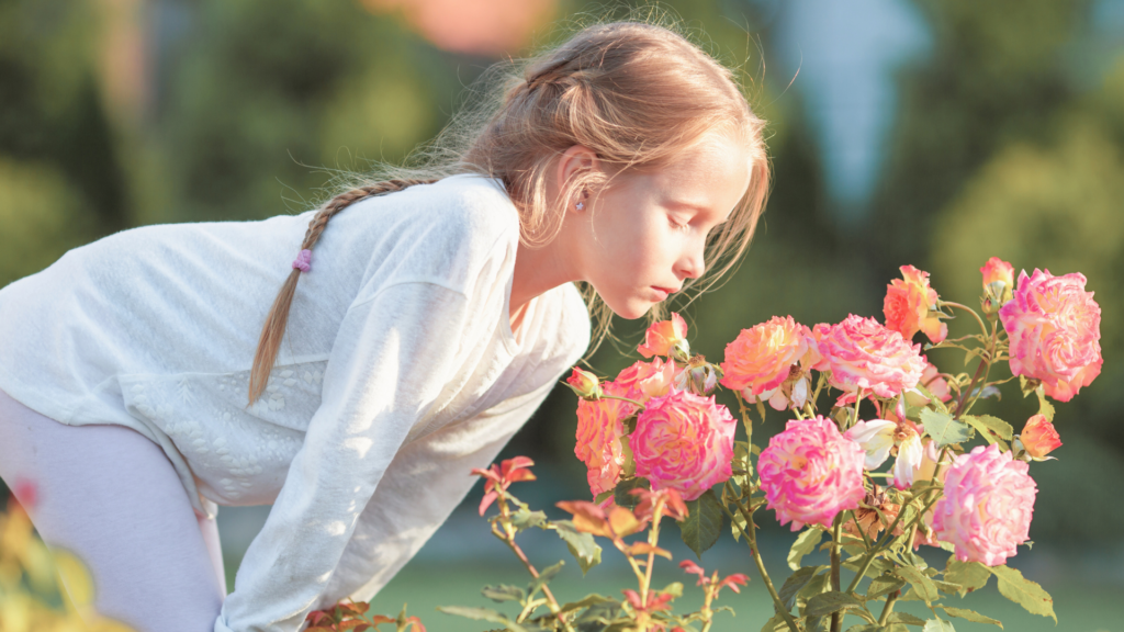 Untitled 2024 03 25T112025.041