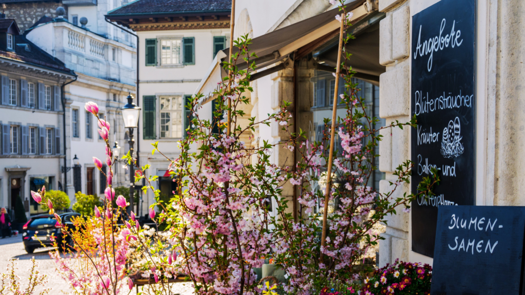 Unsere Trail-Empfehlungen im Frühling 33 Untitled 2024 04 01T092747.679