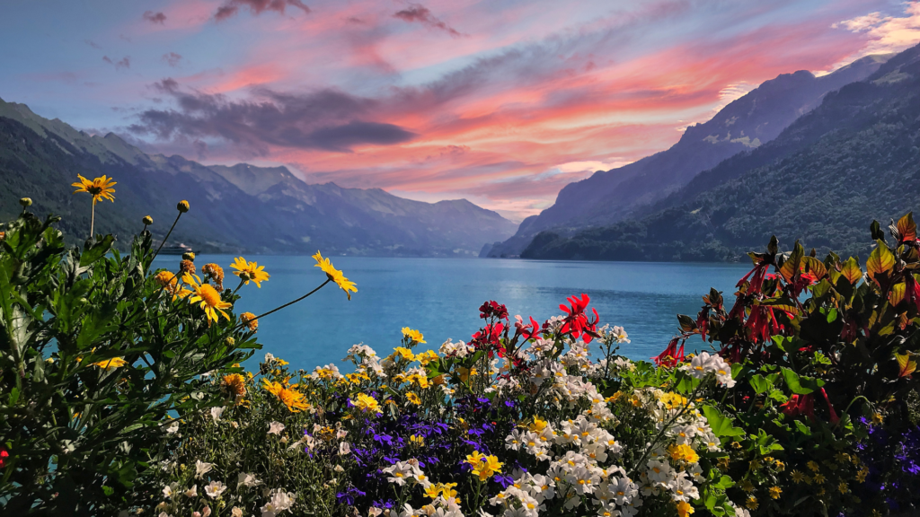 Untitled 2024 04 30T133014.652