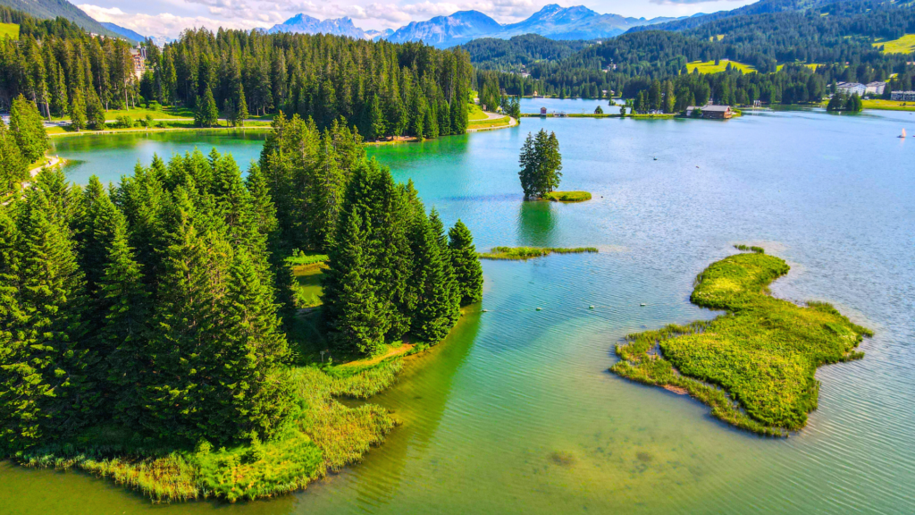 Untitled 2024 04 30T133124.701