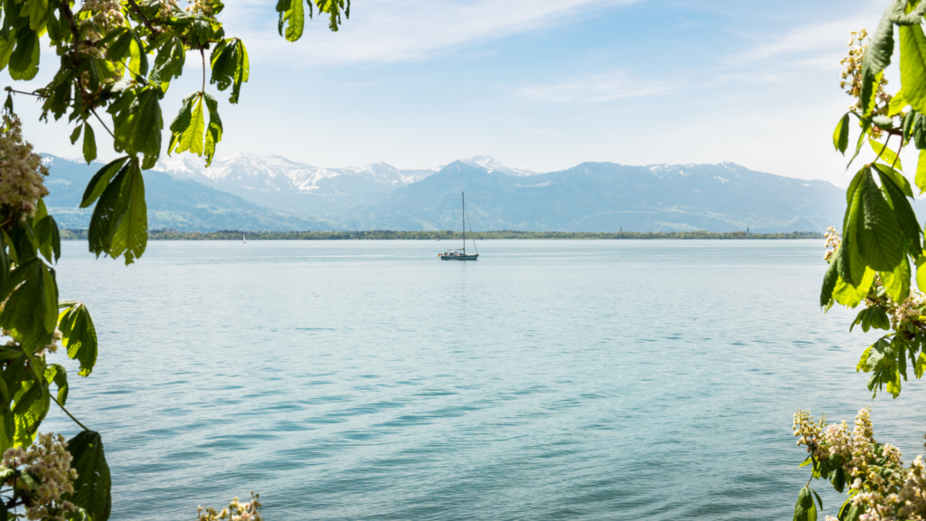 Untitled 2024 04 30T133820.654