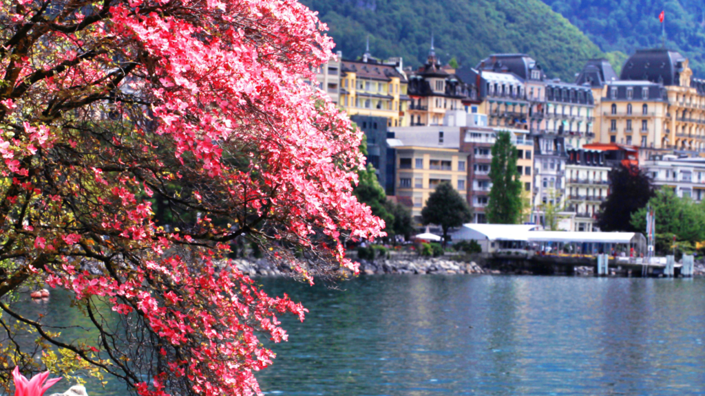 Untitled 2024 04 30T133823.704