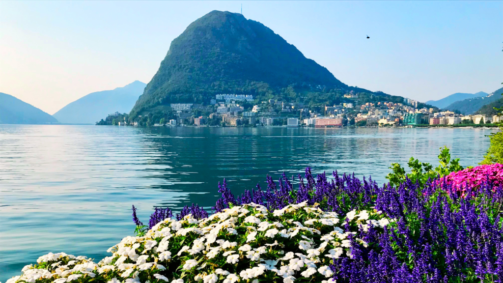 Untitled 2024 04 30T135912.827