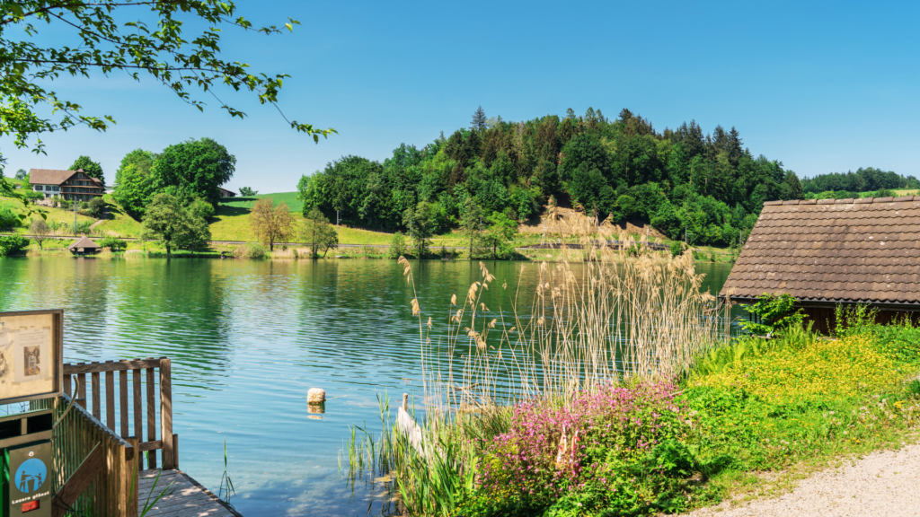 Untitled 2024 04 30T140155.080