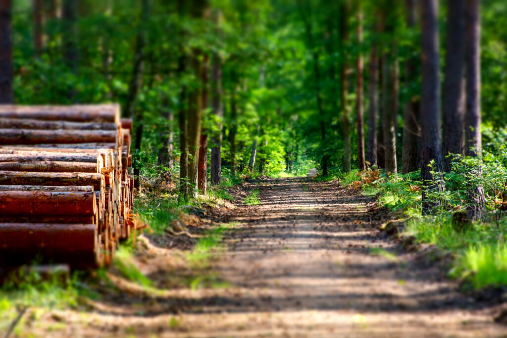 Turgi: 5 fun facts you didn't know yet! 1 iStock 1439412822
