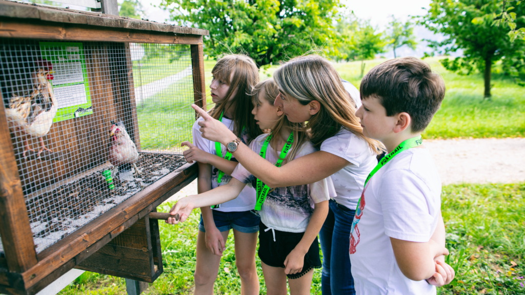 Untitled 2024 05 06T095455.695