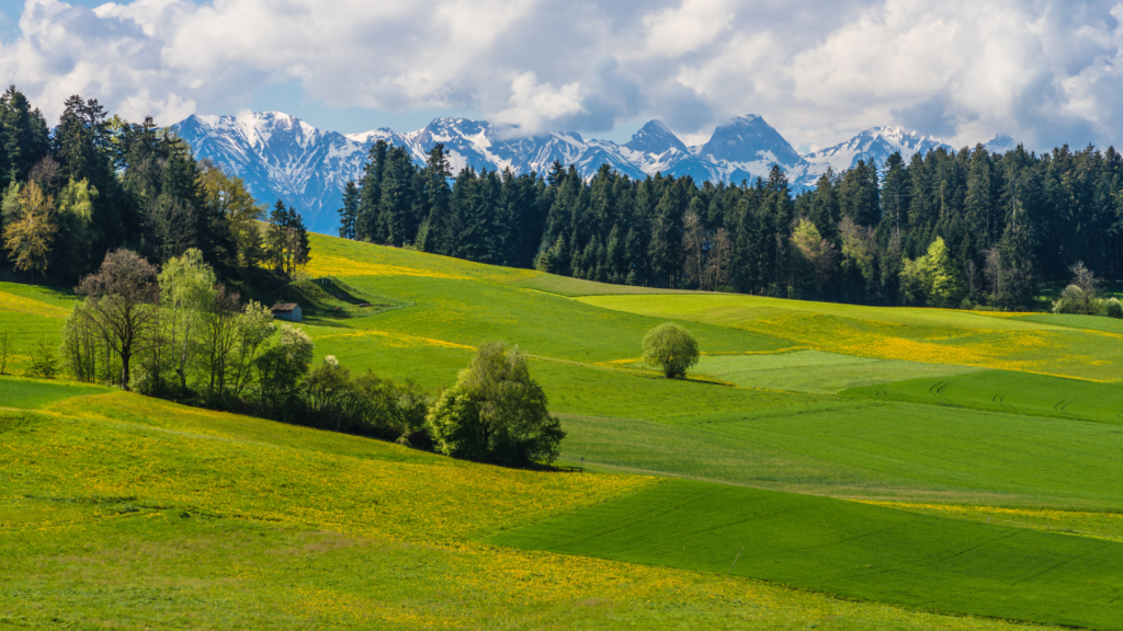 Untitled 2024 05 07T135234.084